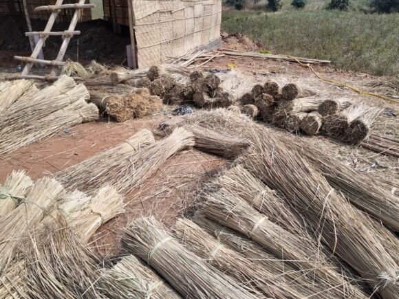 WhatsApp Image 2026-02-12 at 2.42.59 PM (2)