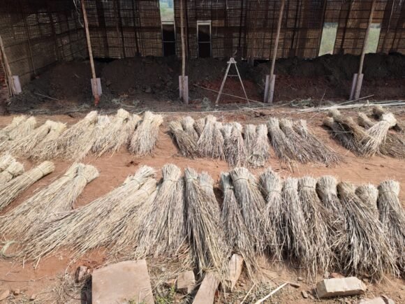 WhatsApp Image 2026-02-12 at 2.43.00 PM (1)